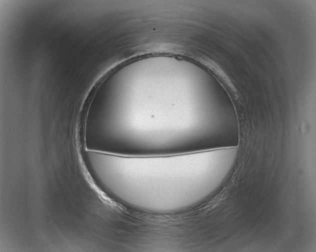 X0000083650991200702120831