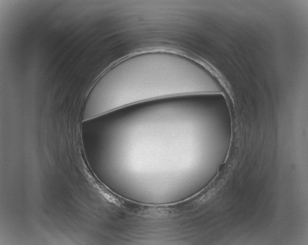 X0000083650993200702120831