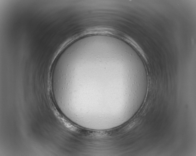 X0000083650994200702120831