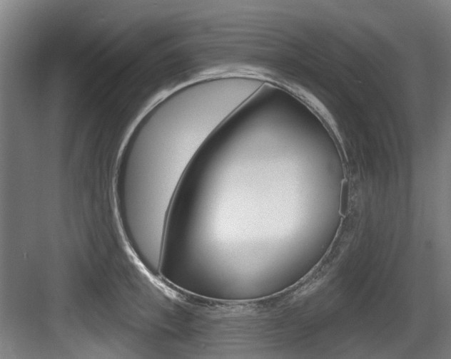 X0000083650997200702120831
