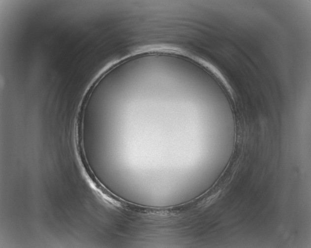 X0000083650999200702120831