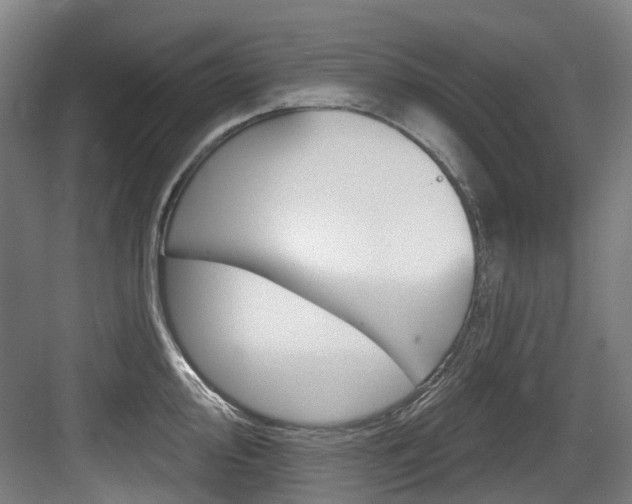 X0000083651000200702120831