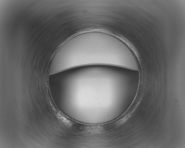 X0000083651001200702120831