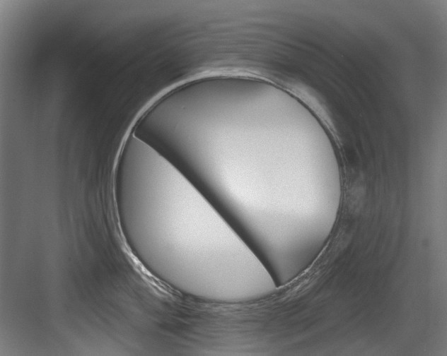 X0000083651004200702120831