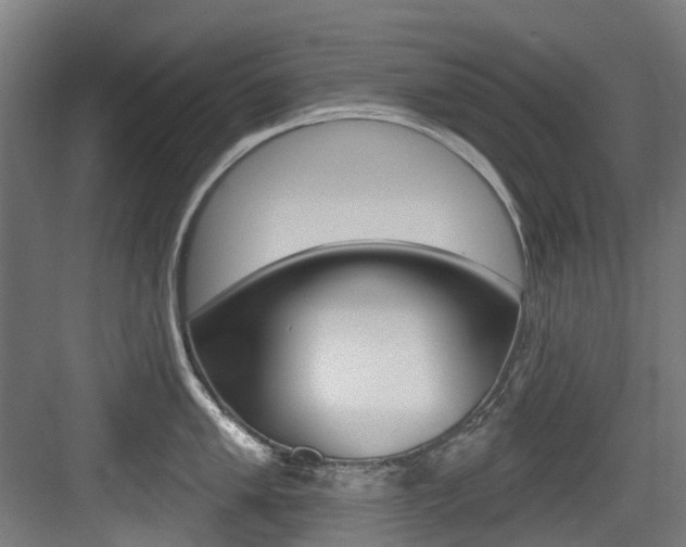 X0000083651005200702120831
