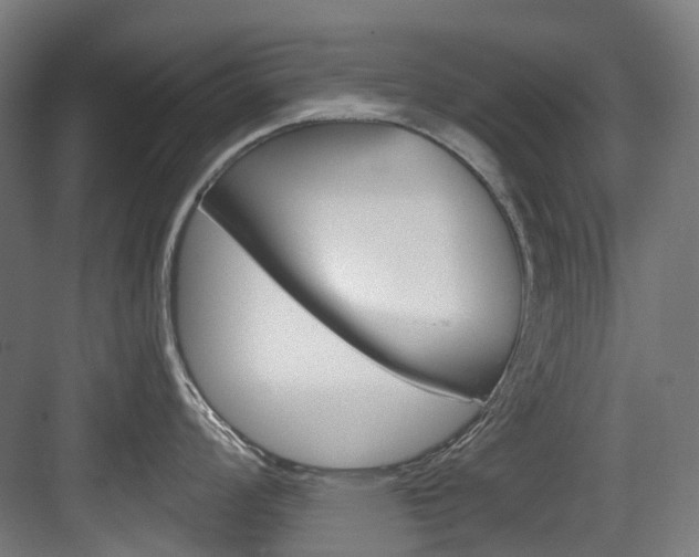 X0000083651008200702120831