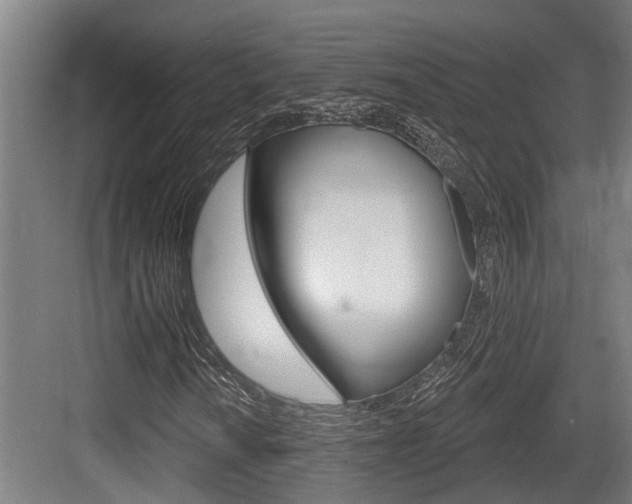 X0000083651010200702120830