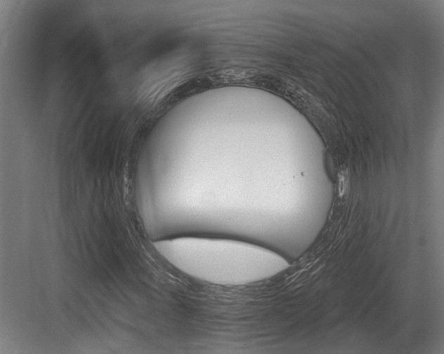 X0000083651011200702120830