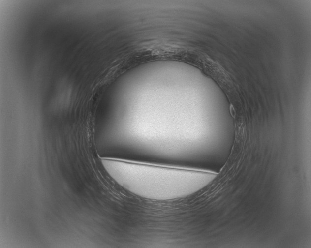 X0000083651012200702120830
