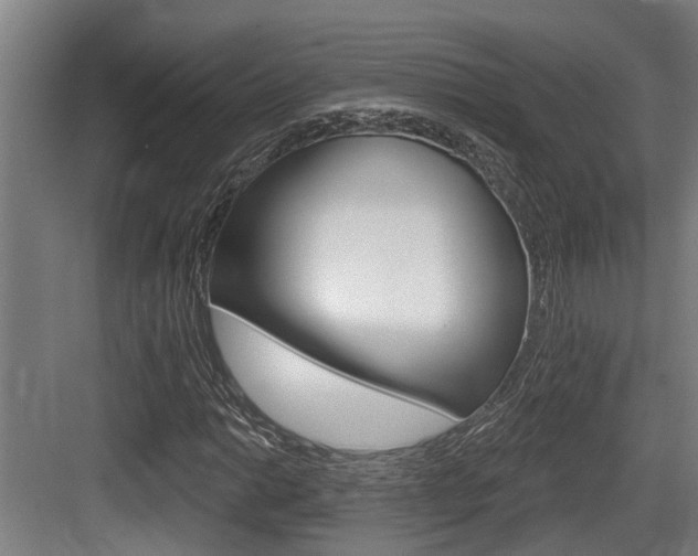 X0000083651014200702120830