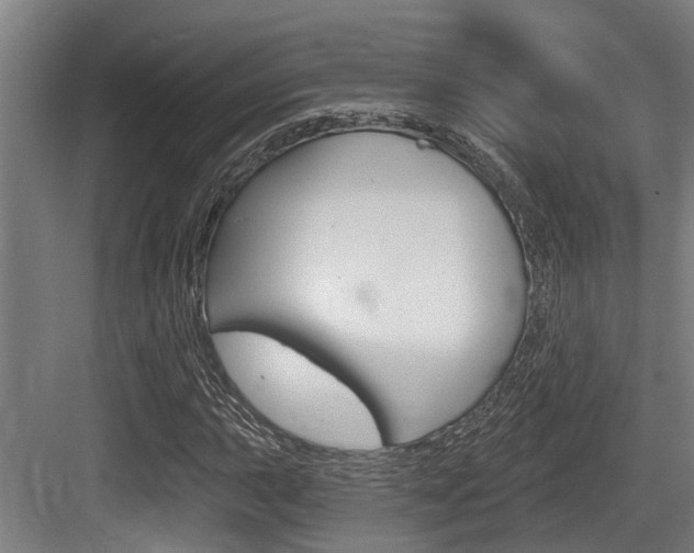 X0000083651015200702120831