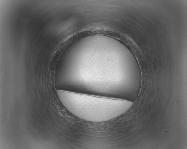 X0000083651016200702120831