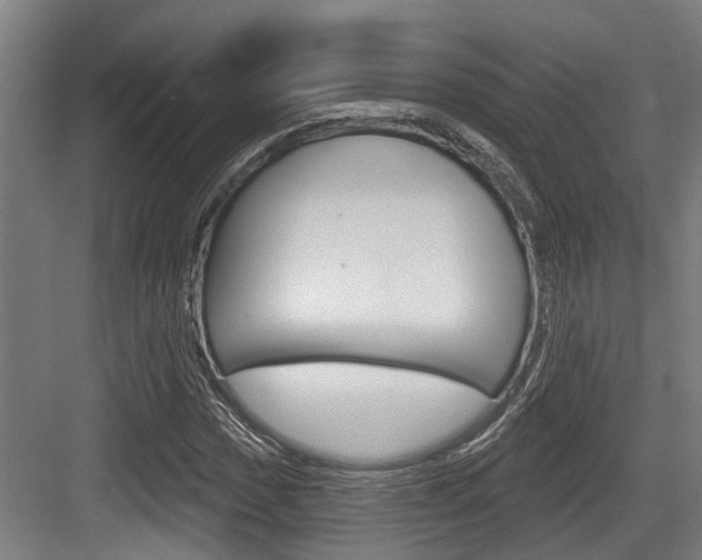 X0000083651017200702120831