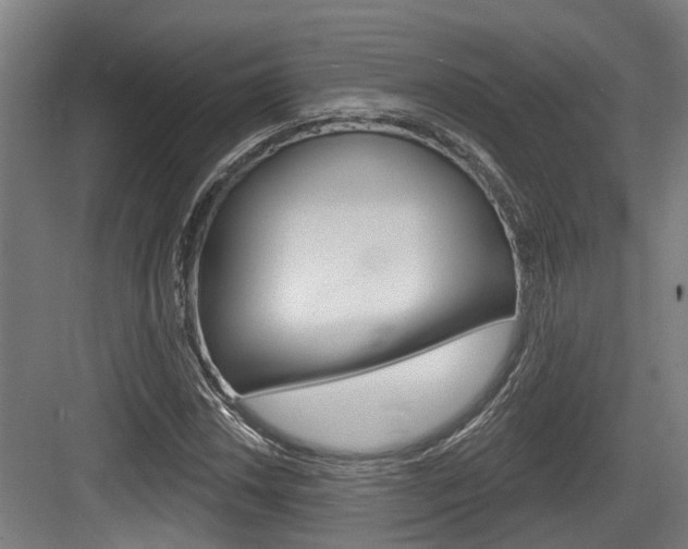 X0000083651018200702120831