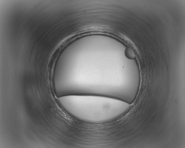 X0000083651019200702120831