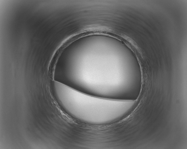 X0000083651022200702120831