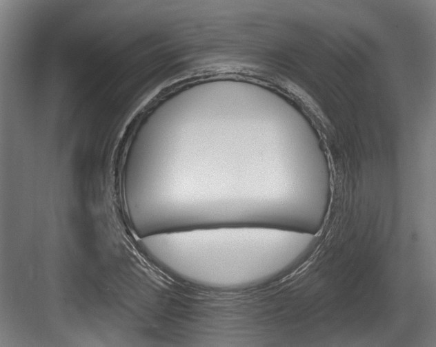 X0000083651023200702120831
