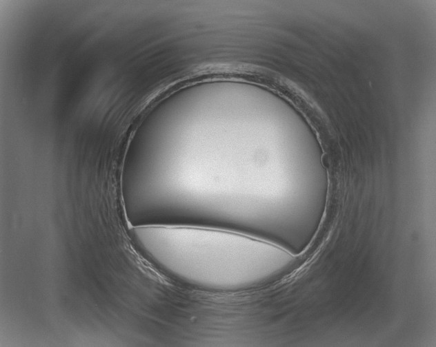X0000083651025200702120831