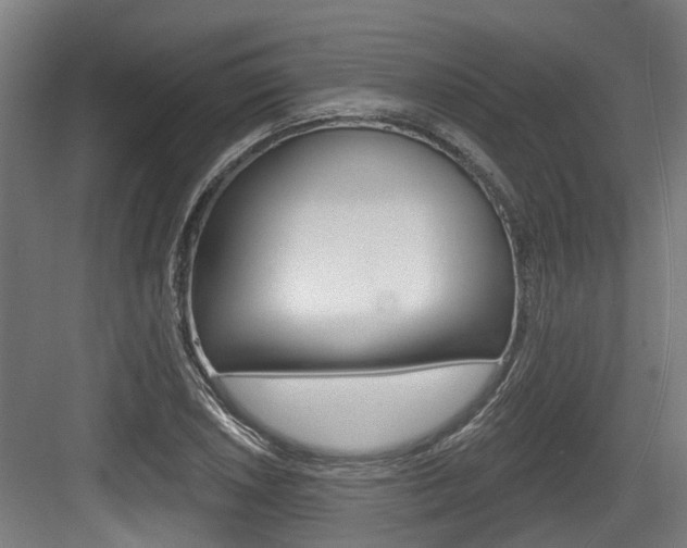 X0000083651026200702120831