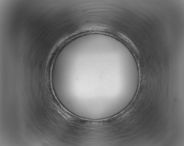 X0000083651027200702120831