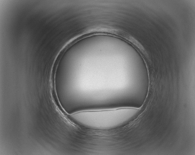 X0000083651028200702120831