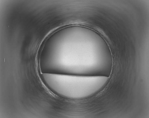 X0000083651032200702120831