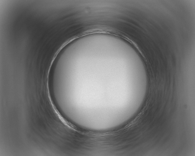 X0000083651034200702120831