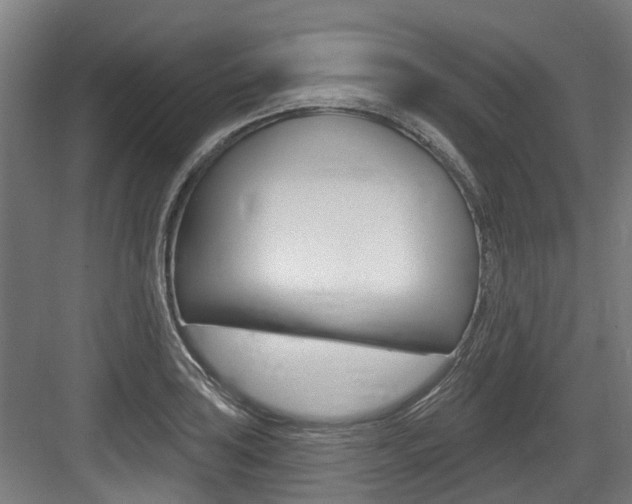 X0000083651035200702120831