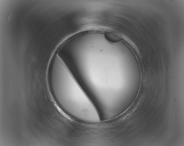 X0000083651037200702120831