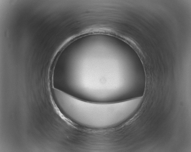 X0000083651038200702120831