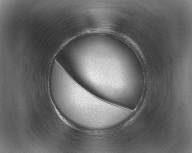 X0000083651041200702120831