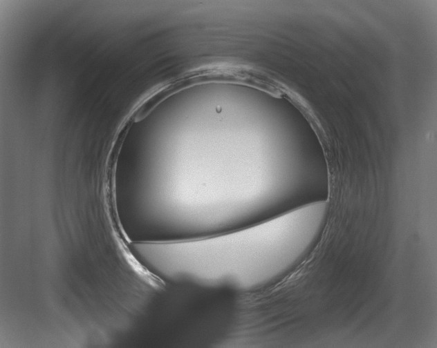 X0000083651042200702120831