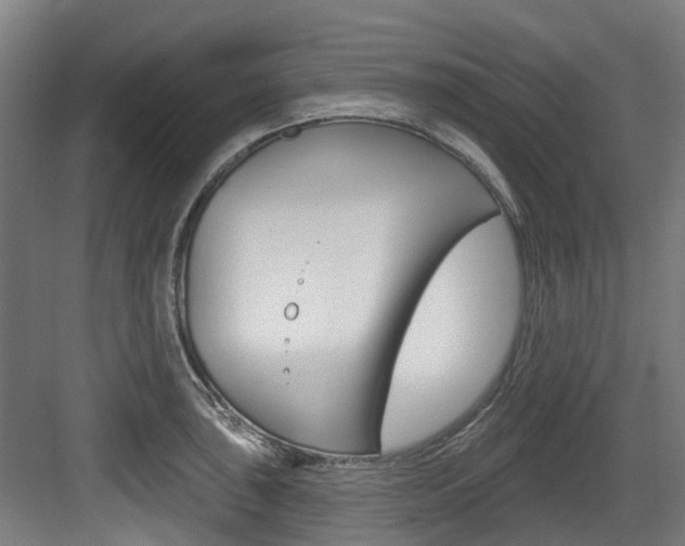 X0000083651043200702120831