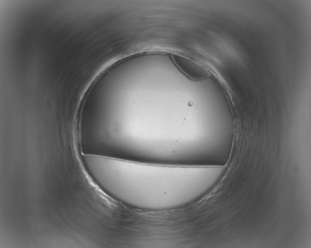 X0000083651048200702120831