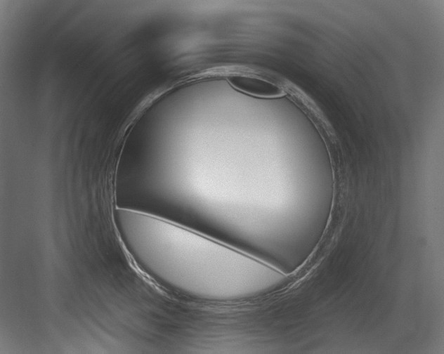 X0000083651049200702120831