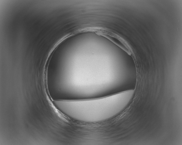 X0000083651050200702120831