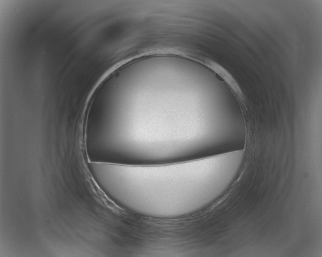 X0000083651052200702120831
