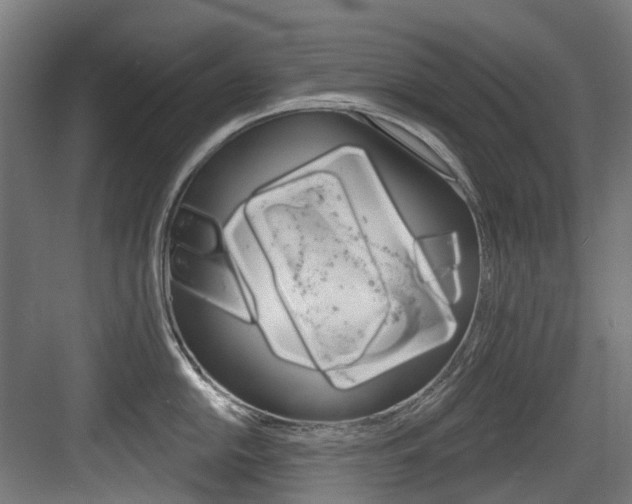 X0000083651054200702120831