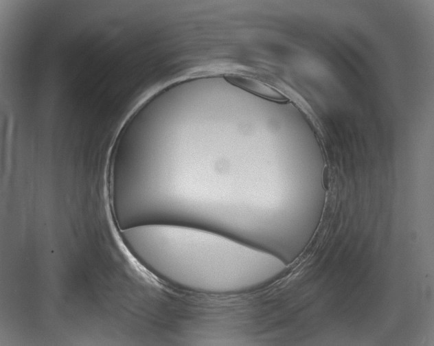 X0000083651055200702120831