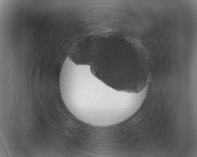 X0000083651059200702120830