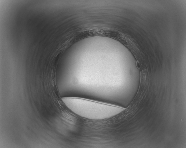 X0000083651060200702120830