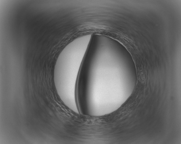 X0000083651061200702120830