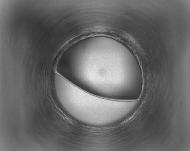 X0000083651065200702120830