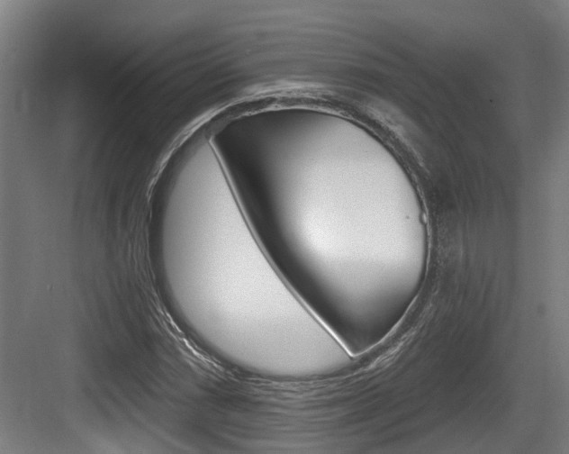 X0000083651066200702120830
