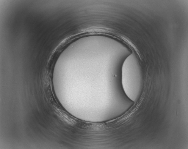X0000083651067200702120830