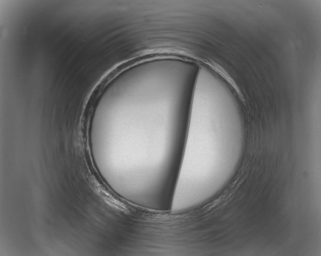 X0000083651068200702120830