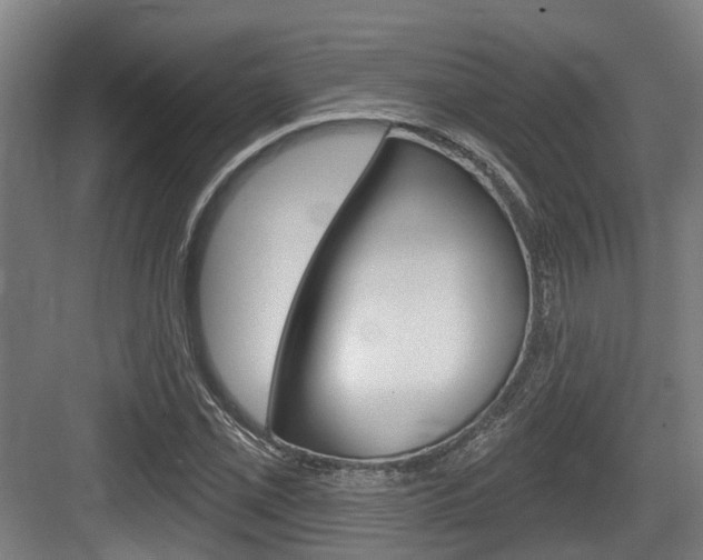X0000083651069200702120830
