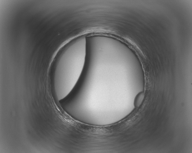 X0000083651070200702120830