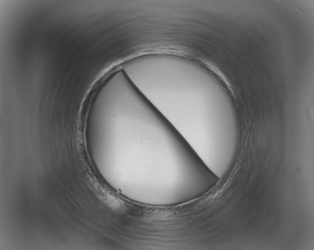 X0000083651071200702120830