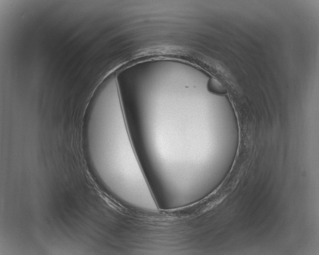X0000083651073200702120830